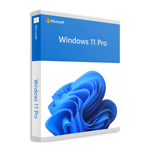 Windows 11 pro